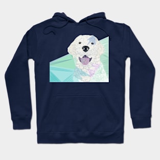 The Laughing Lab Hoodie